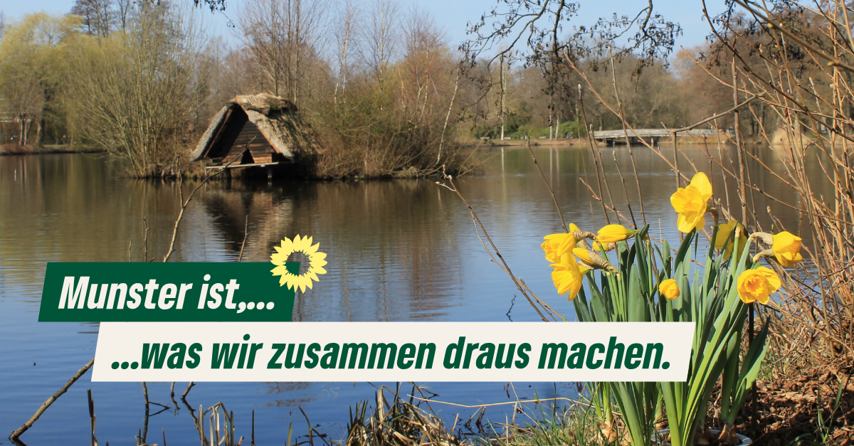 Mühlenteich in Munster, blauer Himmel, Bäume, Osterglocken, Frühling
