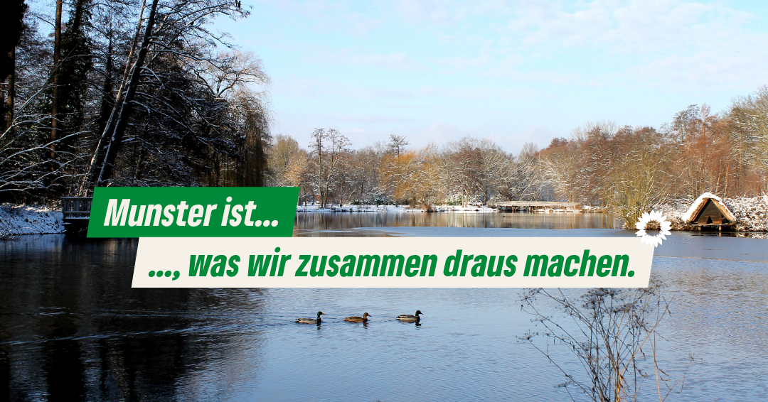 Winterlandschaft, Mühlenteich in Munster