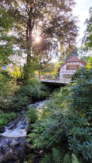 Sommer in Munster, ein Bach, ein Haus, grüne Bäume, blauer Himmel