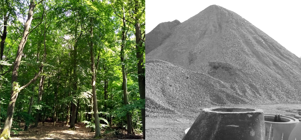 Vorher-/Nachher-Bild, links Buchen-/Eichenwald, rechts Asphalt und Schuttberg