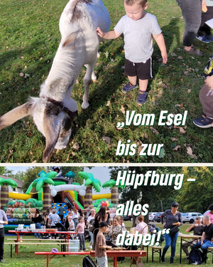 Ein Kind streichelt einen Esel und die Hüpfburg ist zu sehen. 