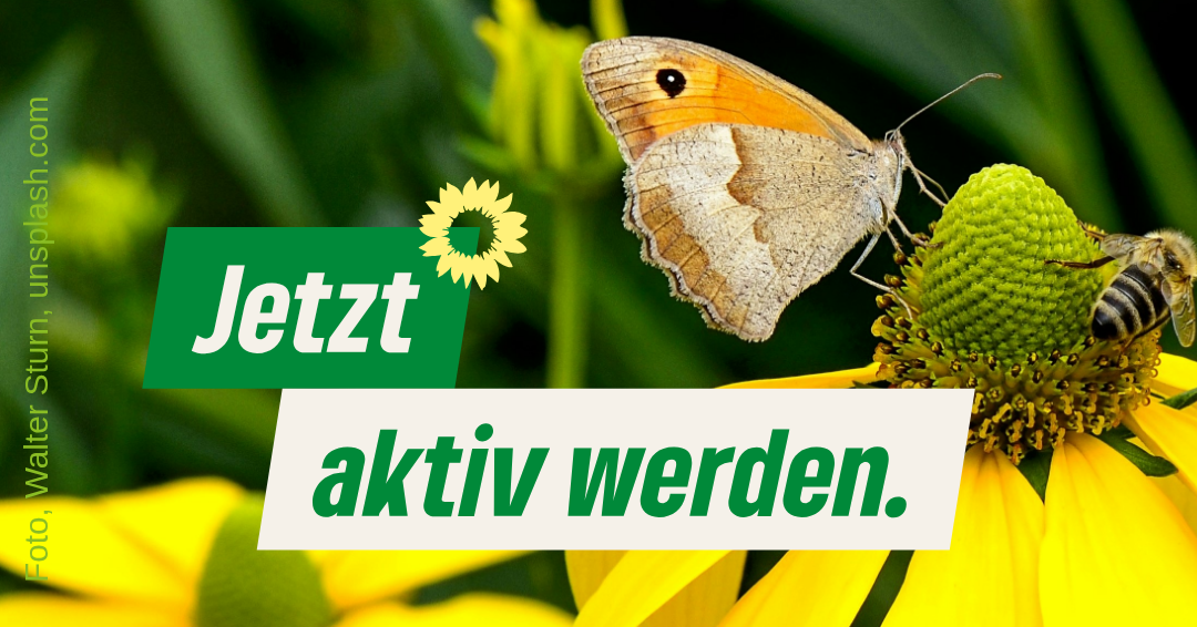 Schmetterling und Biene an einer gelben Blume, Text: Jetzt aktiv werden.